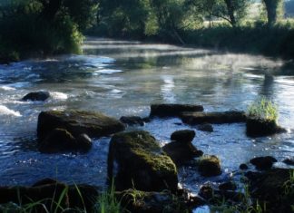 Ziel unserer Sehnsucht Andacht im Evangelischen Sonntagsblatt aus Bayern