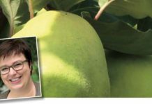 Herz und die Seele ihrer Gemeinden Inge Wollschläger Editorial Hintergrundbild Kraus