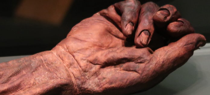 Hand des Old Croghan Mannes im Dubliner Nationalmuseum. Foto: Borée