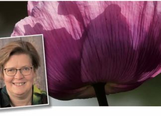 Geschärfte Argumente gegen Antisemitismus Chefredakteurin Susanne Borée, Hintergrundbild von Erich Kraus